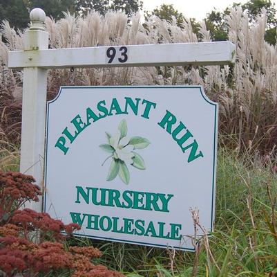 History of Pleasant Run Nursery