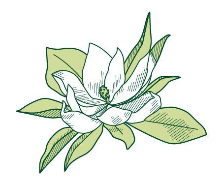 Pleasant Run Documents