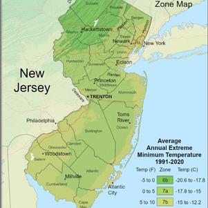 USDA Hardiness Zone Map