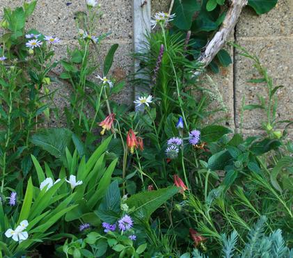 Life is Too Short - Plant Quarts!