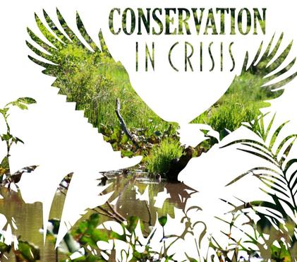 Conservation in Crisis