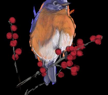 Enchanting the Eastern Bluebird