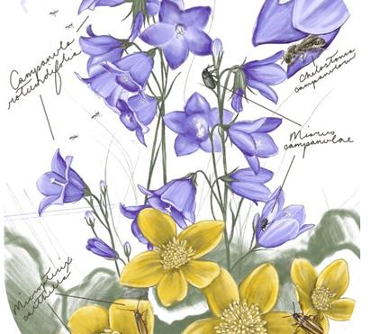 Luck of the Irish Landscape