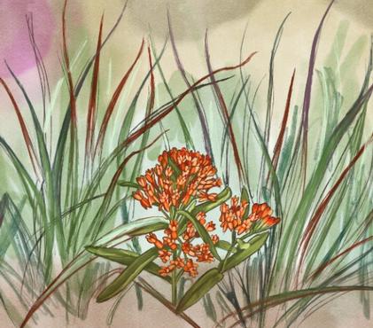 Part II: Plants for Purifying Pollutants