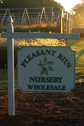 History of Pleasant Run Nursery History of Pleasant Run Nursery