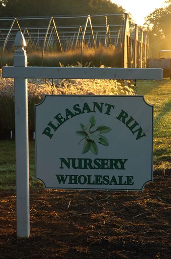 History of Pleasant Run Nursery