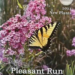 New Plants Supplement